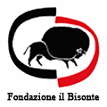 Il Bisonte